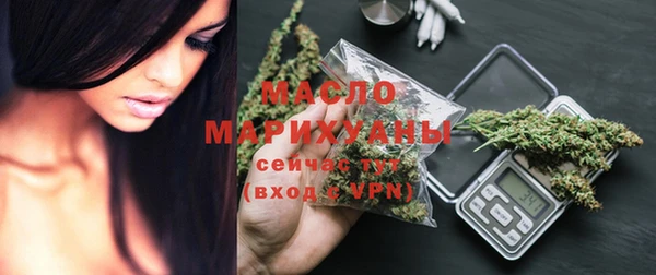 гидра Михайловка