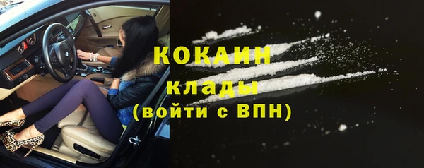 твердый Михайловск