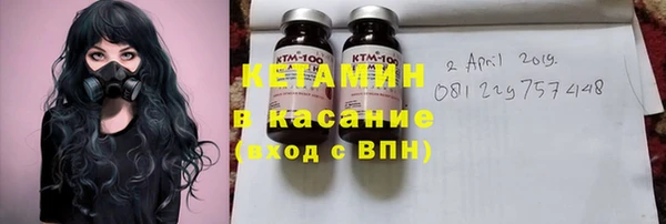 гидра Михайловка