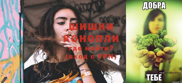 гидра Михайловка