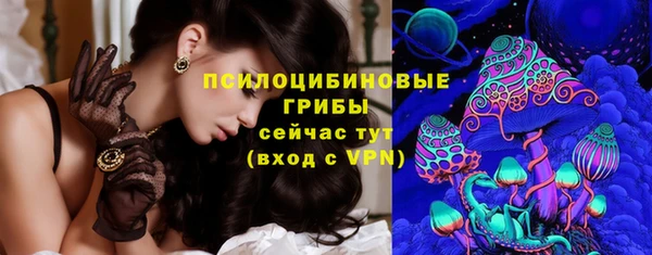 PSILOCYBIN Тайга