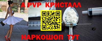 гидра Будённовск