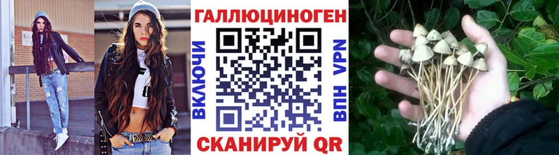 где купить наркотик  Дубна  Псилоцибиновые грибы мухоморы 
