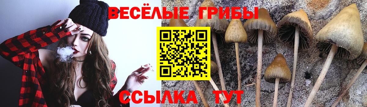 Галлюциногенные грибы MAGIC MUSHROOMS  Псилоцибиновые грибы мицелий  Дубна 