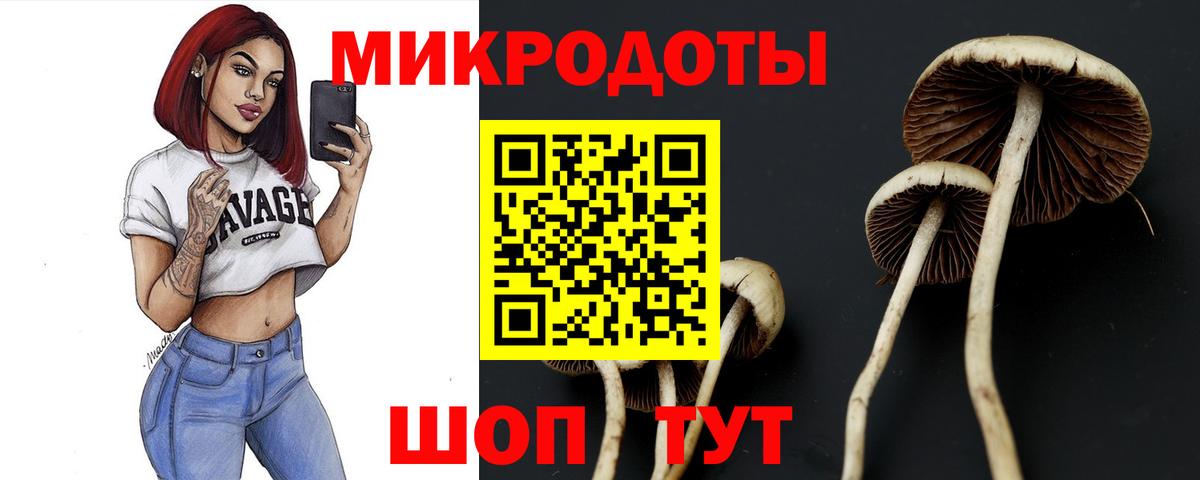 Галлюциногенные грибы мицелий  Вход с VPN  Дубна 